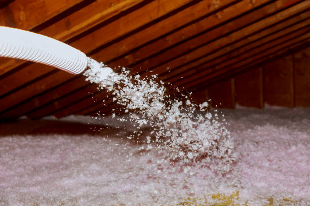 Best Insulation Maintenance and Repair in , CT
